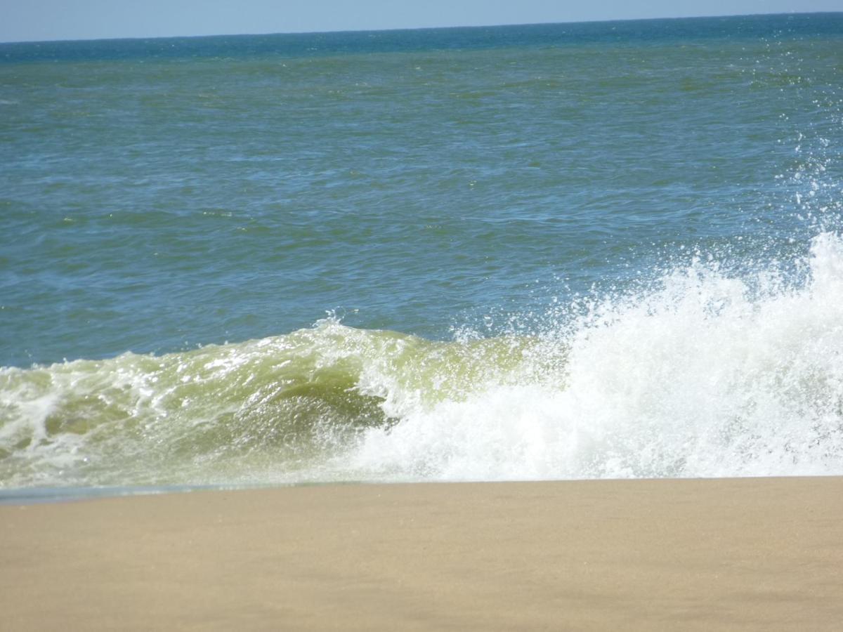RONCE LES BAINS 200 mètres de la plage La Tremblade Esterno foto